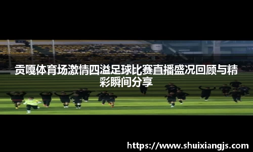 贡嘎体育场激情四溢足球比赛直播盛况回顾与精彩瞬间分享