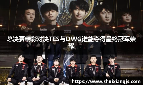 总决赛精彩对决TES与DWG谁能夺得最终冠军荣耀