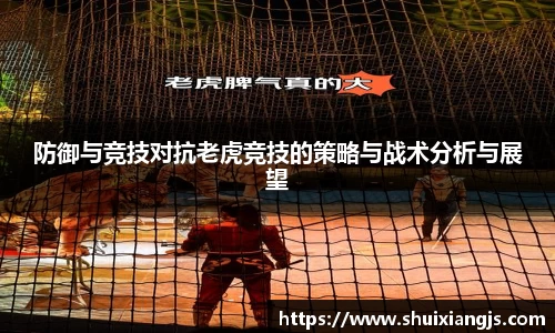 防御与竞技对抗老虎竞技的策略与战术分析与展望