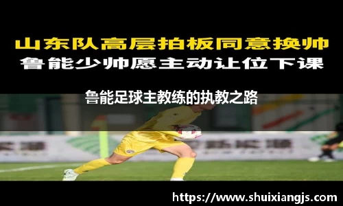 鲁能足球主教练的执教之路